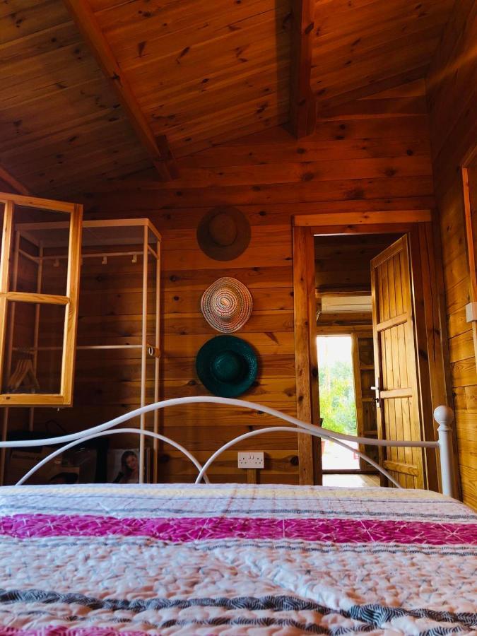 Villa Happy Glamping Cy Agios Theodoros Exterior foto