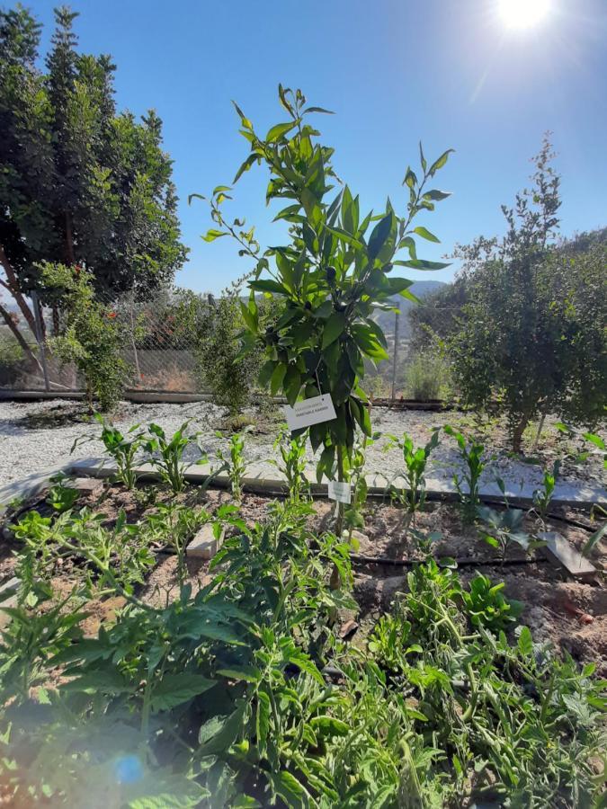 Villa Happy Glamping Cy Agios Theodoros Exterior foto