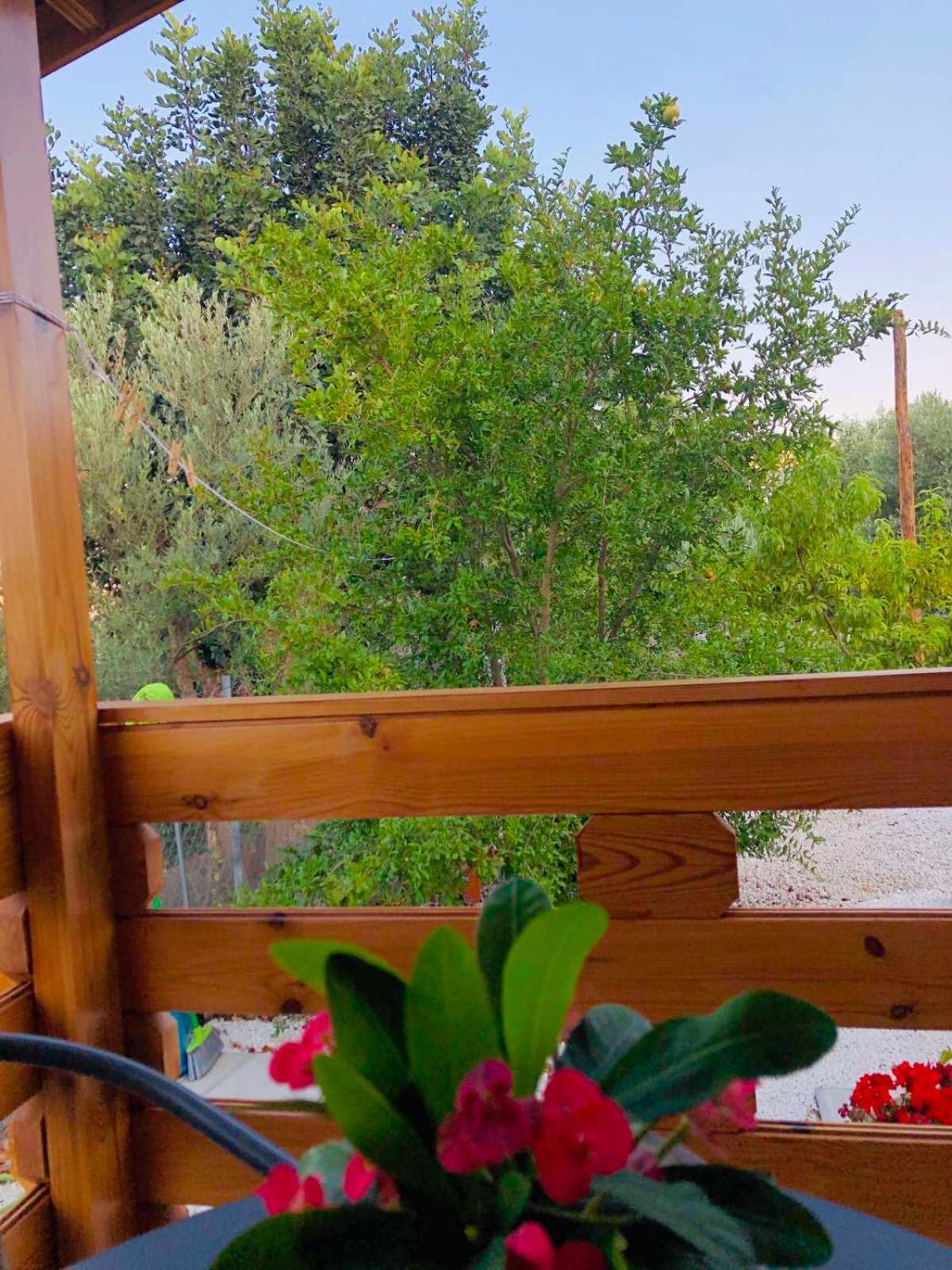 Villa Happy Glamping Cy Agios Theodoros Zimmer foto
